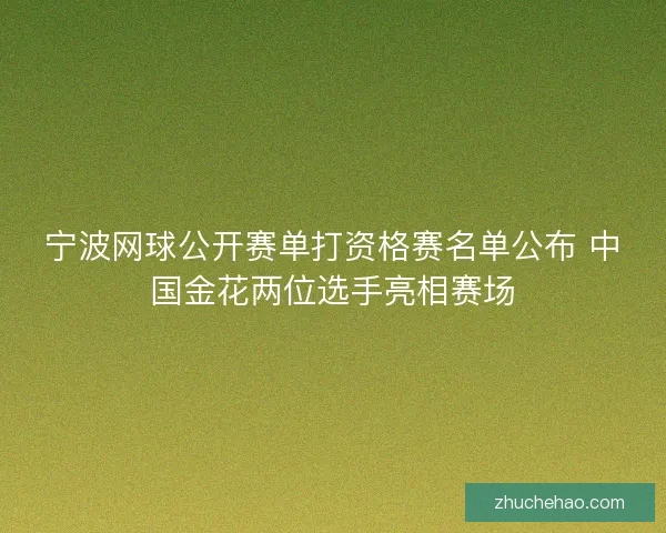 宁波网球公开赛单打资格赛名单公布 中国金花两位选手亮相赛场
