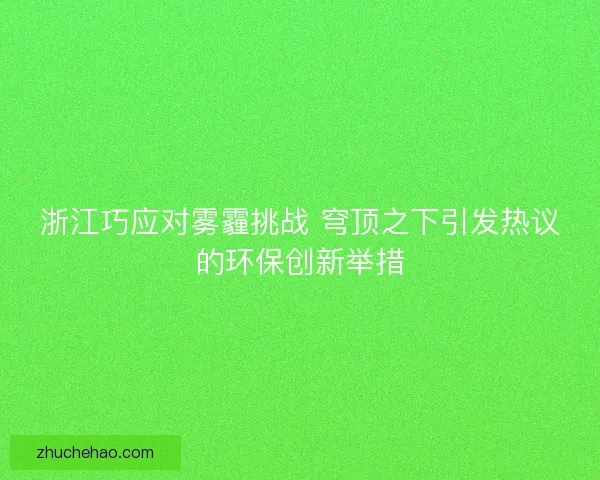 浙江巧应对雾霾挑战 穹顶之下引发热议的环保创新举措
