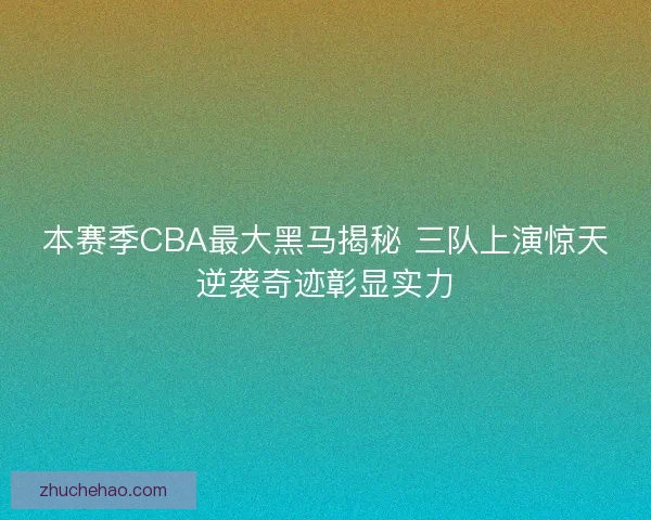 本赛季CBA最大黑马揭秘 三队上演惊天逆袭奇迹彰显实力
