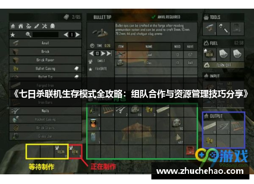 《七日杀联机生存模式全攻略：组队合作与资源管理技巧分享》