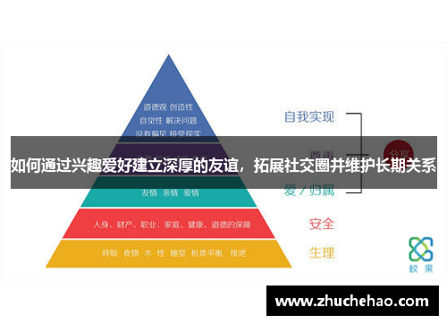 如何通过兴趣爱好建立深厚的友谊，拓展社交圈并维护长期关系