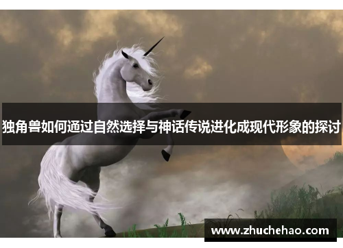 独角兽如何通过自然选择与神话传说进化成现代形象的探讨